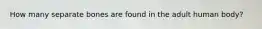 How many separate bones are found in the adult human body?