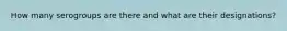 How many serogroups are there and what are their designations?