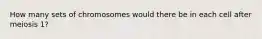 How many sets of chromosomes would there be in each cell after meiosis 1?