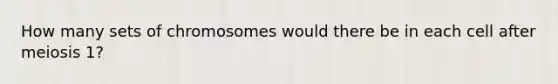 How many sets of chromosomes would there be in each cell after meiosis 1?