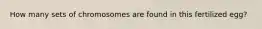 How many sets of chromosomes are found in this fertilized egg?
