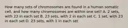 How many sets of chromosomes are found in a human somatic cell, and how many chromosomes are within one set? A. 2 sets, with 23 in each set B. 23 sets, with 2 in each set C. 1 set, with 23 in each set D. 23 sets, with 1 in each set