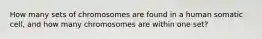 How many sets of chromosomes are found in a human somatic cell, and how many chromosomes are within one set?