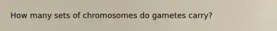 How many sets of chromosomes do gametes carry?