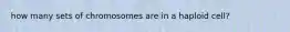 how many sets of chromosomes are in a haploid cell?