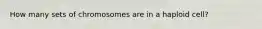 How many sets of chromosomes are in a haploid cell?
