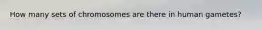 How many sets of chromosomes are there in human gametes?