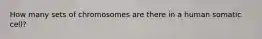 How many sets of chromosomes are there in a human somatic cell?