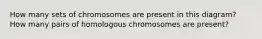 How many sets of chromosomes are present in this diagram? How many pairs of homologous chromosomes are present?