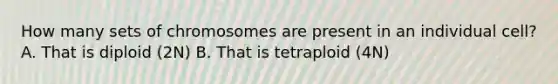 How many sets of chromosomes are present in an individual cell? A. That is diploid (2N) B. That is tetraploid (4N)