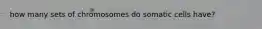 how many sets of chromosomes do somatic cells have?