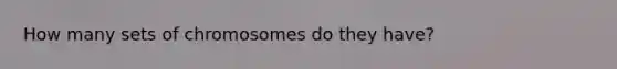 How many sets of chromosomes do they have?