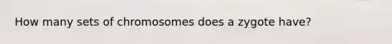 How many sets of chromosomes does a zygote have?