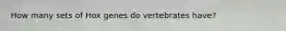 How many sets of Hox genes do vertebrates have?