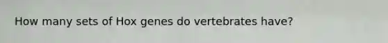 How many sets of Hox genes do vertebrates have?