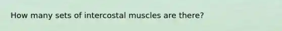 How many sets of intercostal muscles are there?