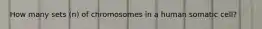 How many sets (n) of chromosomes in a human somatic cell?