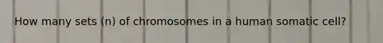 How many sets (n) of chromosomes in a human somatic cell?