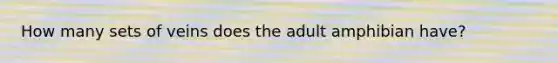 How many sets of veins does the adult amphibian have?