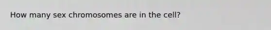 How many sex chromosomes are in the cell?