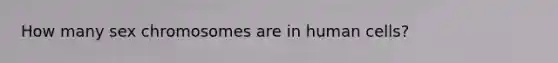 How many sex chromosomes are in human cells?