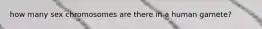 how many sex chromosomes are there in a human gamete?
