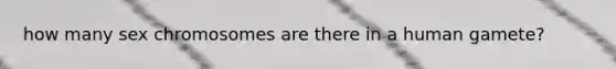 how many sex chromosomes are there in a human gamete?