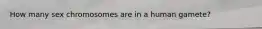 How many sex chromosomes are in a human gamete?
