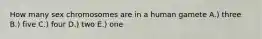 How many sex chromosomes are in a human gamete A.) three B.) five C.) four D.) two E.) one