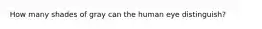 How many shades of gray can the human eye distinguish?