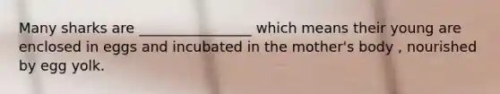 Many sharks are ________________ which means their young are enclosed in eggs and incubated in the mother's body , nourished by egg yolk.