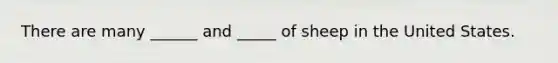 There are many ______ and _____ of sheep in the United States.