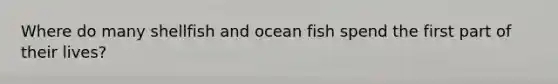 Where do many shellfish and ocean fish spend the first part of their lives?