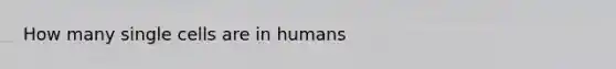 How many single cells are in humans