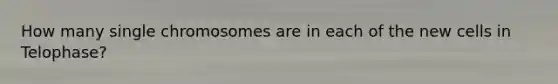 How many single chromosomes are in each of the new cells in Telophase?