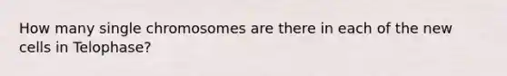 How many single chromosomes are there in each of the new cells in Telophase?