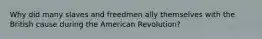 Why did many slaves and freedmen ally themselves with the British cause during the American Revolution?