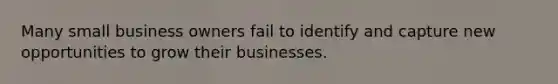 Many small business owners fail to identify and capture new opportunities to grow their businesses.