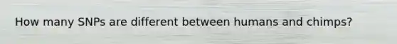 How many SNPs are different between humans and chimps?