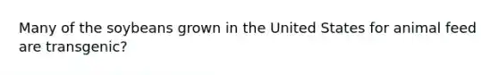 Many of the soybeans grown in the United States for animal feed are transgenic?