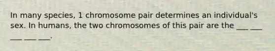 In many species, 1 chromosome pair determines an individual's sex. In humans, the two chromosomes of this pair are the ___ ___ ___ ___ ___.