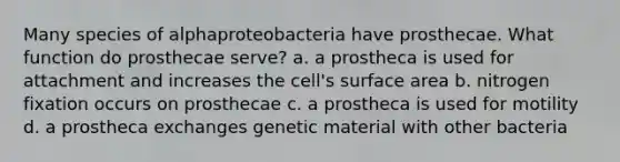 Many species of alphaproteobacteria have prosthecae. What function do prosthecae serve? a. a prostheca is used for attachment and increases the cell's surface area b. nitrogen fixation occurs on prosthecae c. a prostheca is used for motility d. a prostheca exchanges genetic material with other bacteria