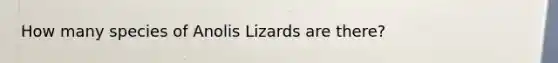 How many species of Anolis Lizards are there?