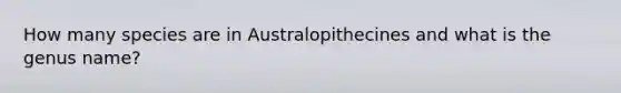 How many species are in Australopithecines and what is the genus name?