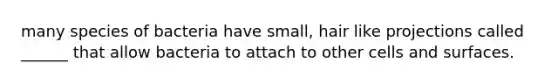many species of bacteria have small, hair like projections called ______ that allow bacteria to attach to other cells and surfaces.