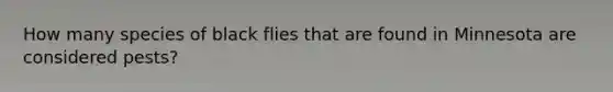 How many species of black flies that are found in Minnesota are considered pests?