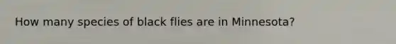 How many species of black flies are in Minnesota?