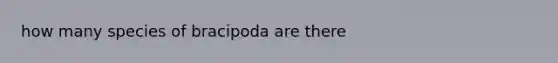 how many species of bracipoda are there