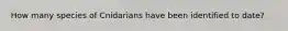 How many species of Cnidarians have been identified to date?