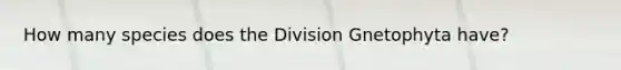 How many species does the Division Gnetophyta have?